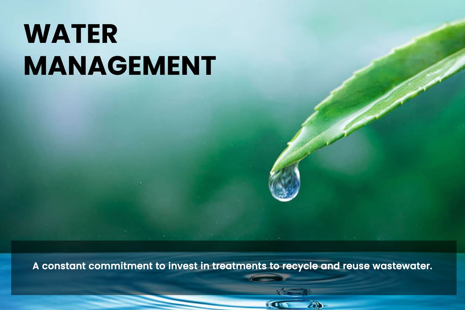 water-manage1